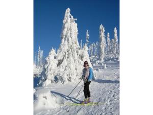 a woman on skis in the snow next to a snow covered tree at Pleasant apartment in Bavaria in Neureichenau