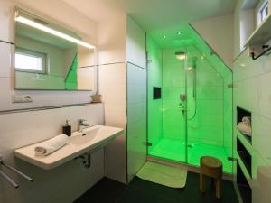 a bathroom with a sink and a glass shower at Holiday apartment Waldfrieden in Kurort Bärenburg