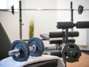 a row of dumbbells on a table in a gym at Holiday apartment Waldfrieden in Kurort Bärenburg