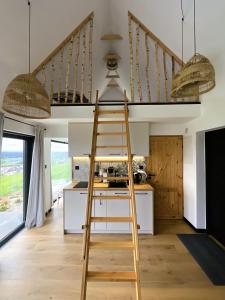 a ladder in a kitchen with a loft bed at Czarne Ptaszki in Szlembark +27 photos