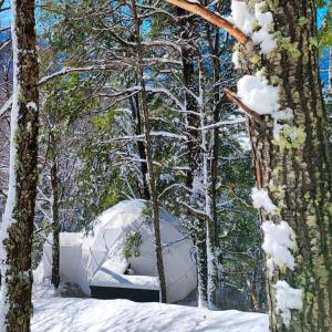 Malalcahuello Eco Glamp v zimě