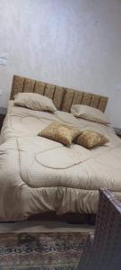 a bed with two pillows on top of it at استديوهات الجبل in Jerash +2 photos