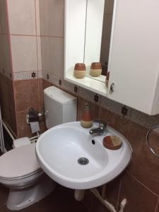 uma casa de banho com um lavatório branco e um WC. em Apartman Spasic em Ribarska Banja