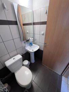 a small bathroom with a toilet and a sink at Dimos apartments in Kókkinon Nerón