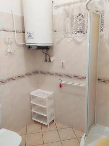 a bathroom with a shower and a sink and a toilet at Abádi Karmazsin Ház in Abádszalók