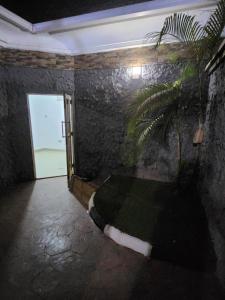 um quarto com uma porta e uma planta em Cozy Residence Abuja em Abuja