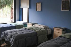 two beds in a room with blue walls at Moller Masi - Ayllu Huasi in Purmamarca