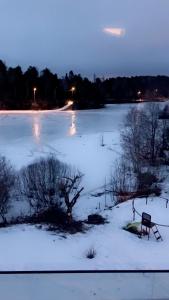 Příroda nedaleko vily