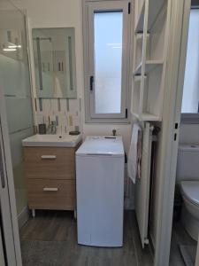ein Badezimmer mit einem Waschbecken, einem WC und einem Spiegel in der Unterkunft Appartement traversant ensoleillé in Boulogne-Billancourt
