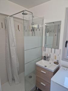 ein Bad mit einer Dusche und einem Waschbecken in der Unterkunft Appartement traversant ensoleillé in Boulogne-Billancourt
