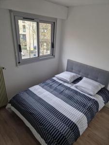 ein Bett mit zwei Kissen in einem Zimmer mit einem Fenster in der Unterkunft Appartement traversant ensoleillé in Boulogne-Billancourt