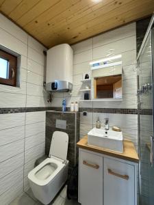 a bathroom with a toilet and a sink at Domki całoroczne KATRINA in Krynica Morska +21 photos