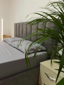 um quarto com uma cama e uma planta verde em Hostel by Fenix Tirana em Tirana