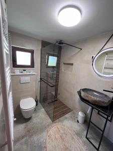 e bagno con doccia, servizi igienici e lavandino. di Zlatna Jabuka Lux a Prijepolje