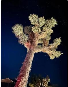 Fotografie z fotogalerie ubytování Adobe Hideaway House v destinaci Joshua Tree