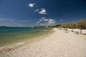 a sandy beach with trees and the water at ANNA in Biograd na Moru