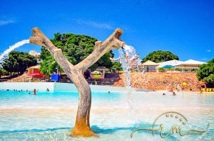 a tree in the water at a resort at Spazzio diRoma RM Hospedagem com Acesso Acqua Park/Splash in Caldas Novas