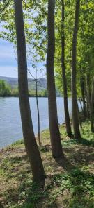 Gallery image of Drinsko Srce in Ljubovija