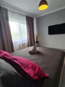 a bedroom with a bed with a stuffed animal on it at Cosy escape in Sfântu-Gheorghe