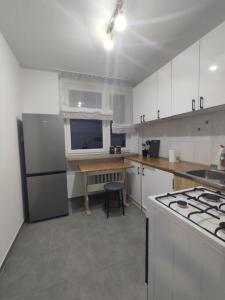 Η κουζίνα ή μικρή κουζίνα στο Blisko plaży +8 φωτογραφίες