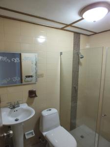 uma casa de banho com um chuveiro, um WC e um lavatório. em Hotel Alto de los Nogales em Barranquilla