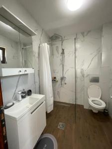 a bathroom with a shower and a toilet and a sink at Drinsko Srce in Ljubovija