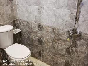 een badkamer met een toilet en een douche bij Karam Sands in Siwa