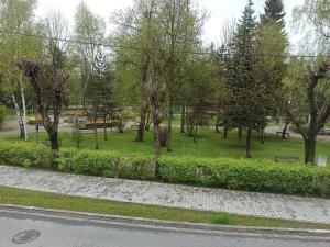a park with a bunch of trees and grass at Apartament Parkowa in Nowy Targ