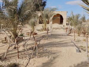 a building in the middle of a desert with palm trees at Karam Sands in Siwa