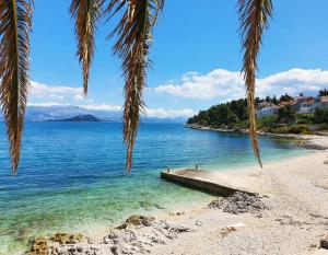 a beach with palm trees and a dock in the water at Villa Salena with pool Slatine in Slatine