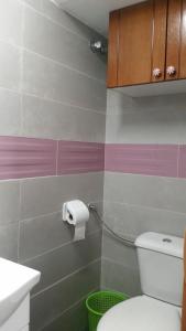 baño con aseo y dispensador de papel higiénico en Coliving 87 Estudio Numero 10 en Hospitalet de Llobregat
