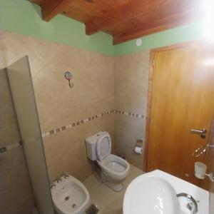 La salle de bains est pourvue de toilettes, d'un lavabo et d'une douche. dans l'établissement Chalet Liwen, à San Martín de los Andes