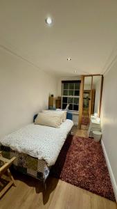 1 dormitorio con cama y alfombra en Entire Apartment in London, en Bromley