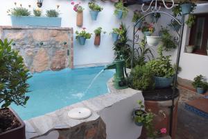 una fuente de agua en un patio con macetas en Casa Del Abuelo Martín en Villaviciosa de Córdoba