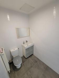 La salle de bains est pourvue de toilettes et d'un lavabo. dans l'établissement Chambres spacieuses hyper centre, à Saint-Étienne