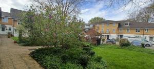 uma casa com uma árvore num quintal em Southampton Escape 3BR Home with Garden em Southampton