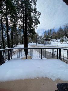 uma cerca com neve no chão ao lado das árvores em Knotty Pines Lodge em Bass Lake Annex