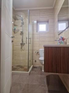 a bathroom with a shower and a toilet at Serenity Apartment in Bitola