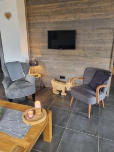ein Wohnzimmer mit 2 Stühlen und einem TV in der Unterkunft Gîte chez Alice in Mollkirch