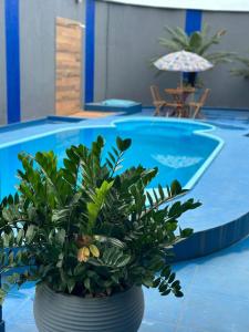 una pianta in un vaso accanto a una piscina di Recife Palace Hotel a Parauapebas