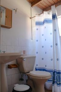 La salle de bains est pourvue de toilettes et d'un rideau de douche. dans l'établissement Puesta del Sol, à Pelluhue