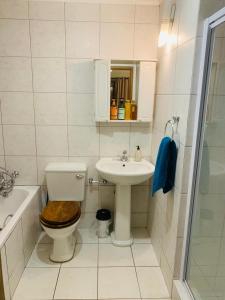 Johannesburg的住宿－Afrikawisa@Rosebank，一间带卫生间和水槽的浴室
