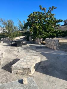R & A turquoise Rental في بروفيدنسياليس: حديقة فيها جلسة حجرية وشجرة