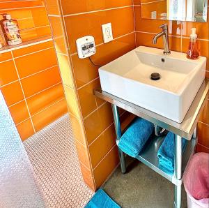 uma casa de banho com um lavatório e um chuveiro em Tiny House Centrally Located in Great Neighborhood em Phoenix