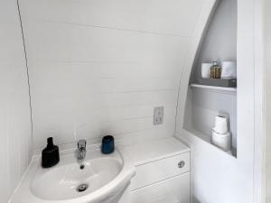 Bombie Glamping Pod في Cromdale: حمام مع حوض ومرحاض