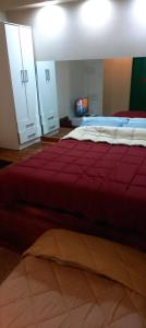 a bedroom with a large bed with a red blanket at Aparta Hotel in Buenos Aires