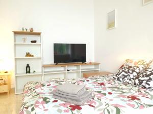 Televízia a/alebo spoločenská miestnosť v ubytovaní Sunny Malaga Centre Flats, 2 Options, with Balcony or Terrace