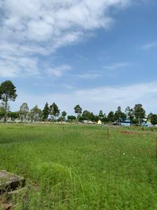 a field of green grass with trees in the background at 18 Homestay Star's in Can Tho