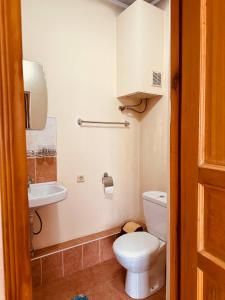 een badkamer met een toilet en een wastafel bij Guest House Crocus in Bisjkek