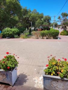 dois potes de flores num parque com árvores em Imi Ouaddar Apartment just Steps from the Beach em Agadir nʼ Aït Sa